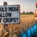 Should India allow genetically modified (GM) crops?